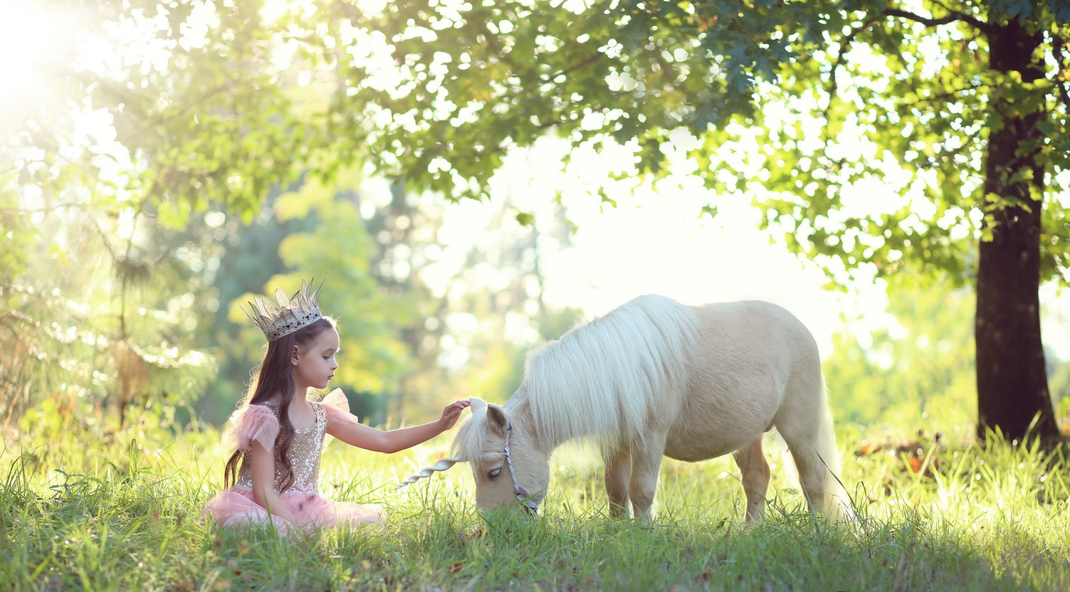 la fille le poney l arrière-plan