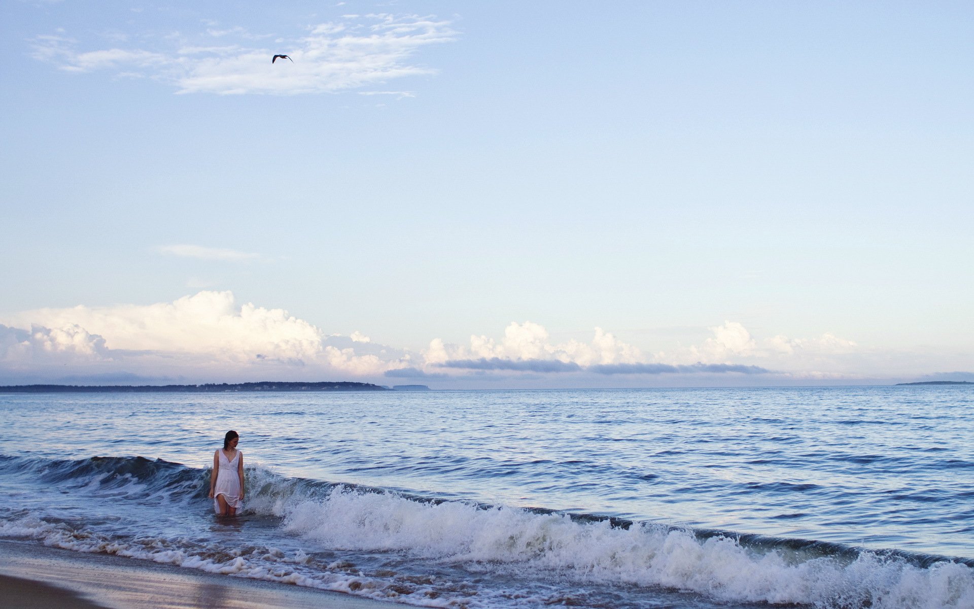 la jeune fille l oiseau la mer l humeur