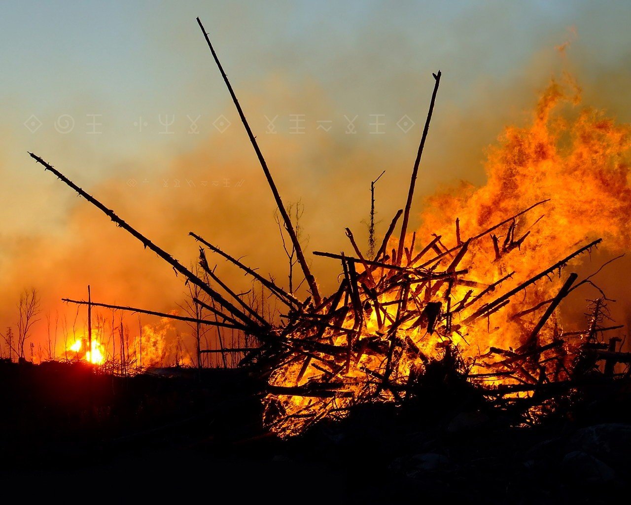 fire sticks bonfire fire