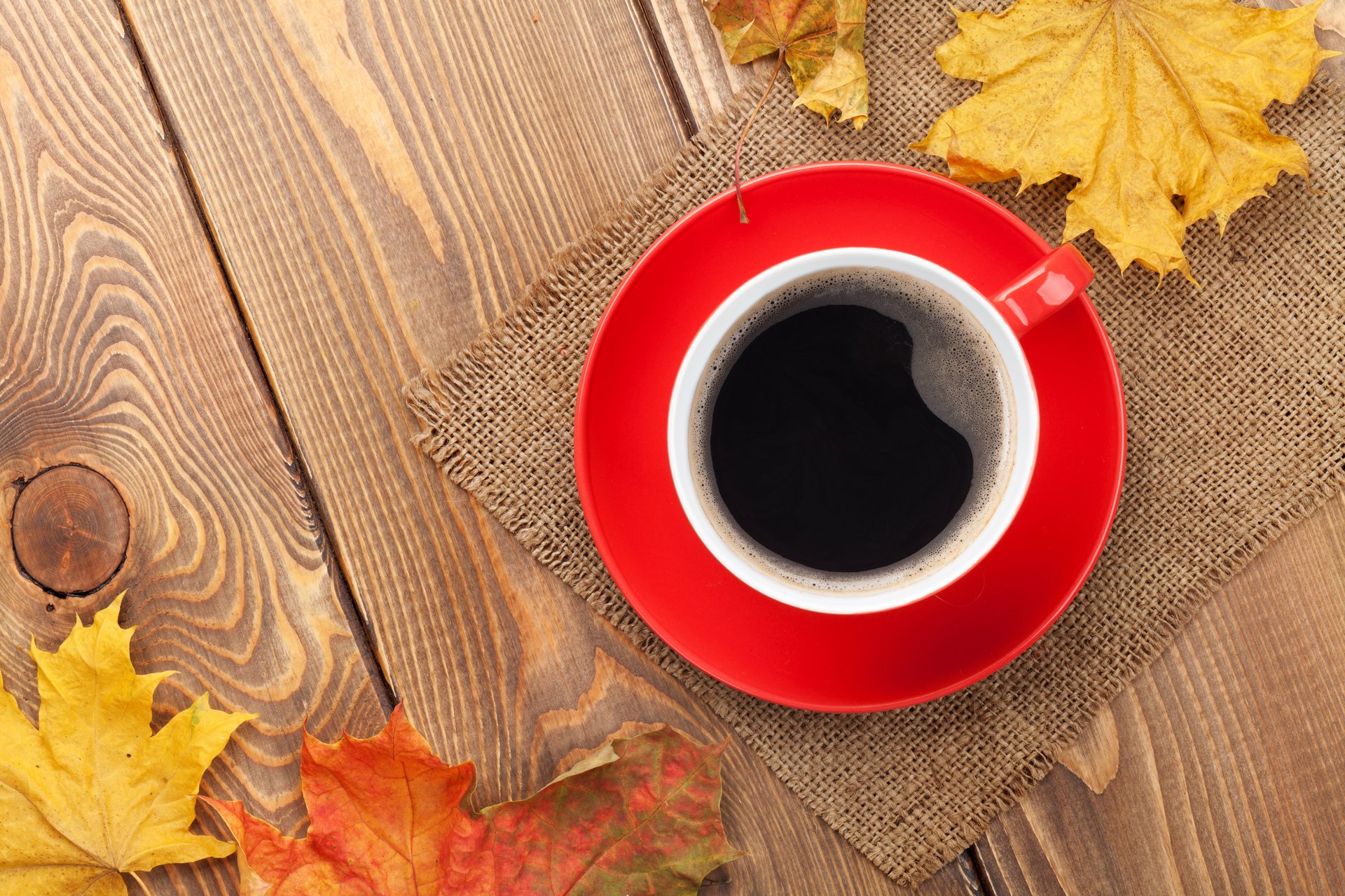 herbst herbst blätter ahorn tasse kaffee herbstlaub