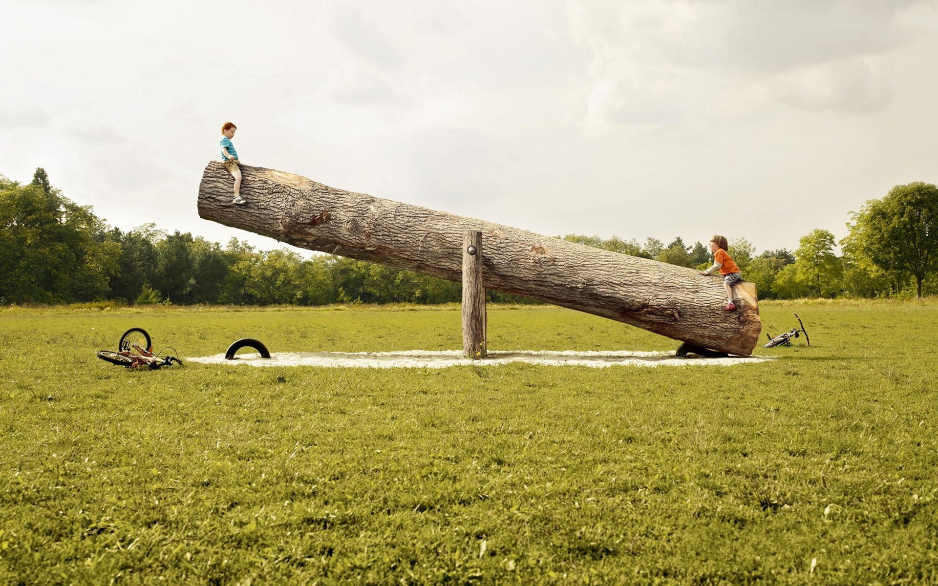 children swing log