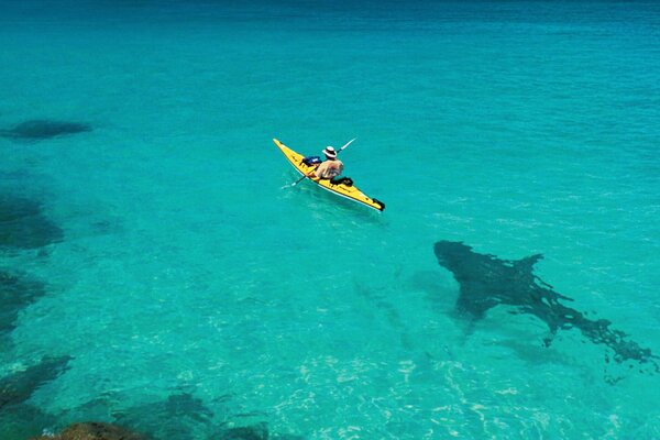 Shark swimming behind a boat in the sea