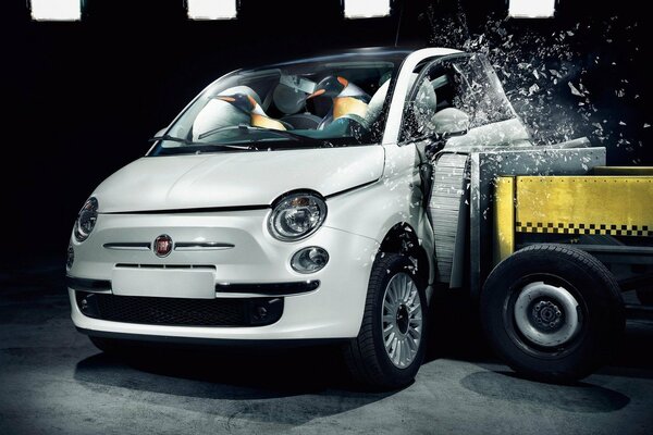 Crash test of penguins in a White Fiat