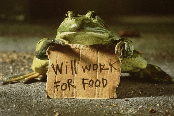 Frog with the announcement I will work for food