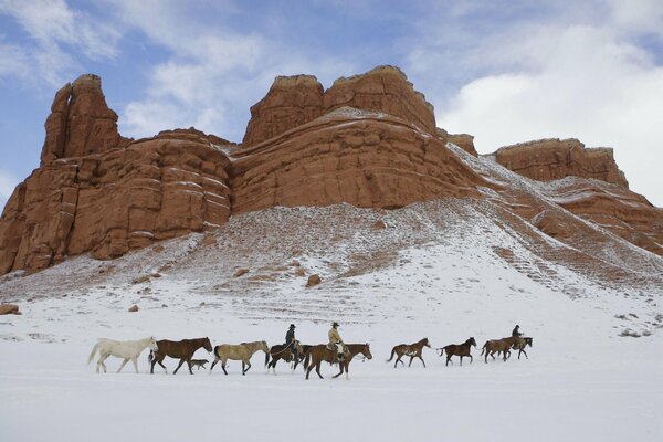 Horses in the mountains in the snow