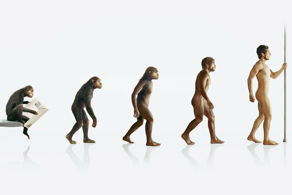 How did the evolution of man from a monkey take place