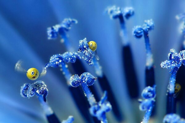 A flower in a beautiful morning dew