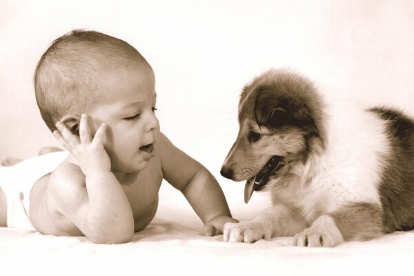 Foto in bianco e nero di un bambino e un cucciolo