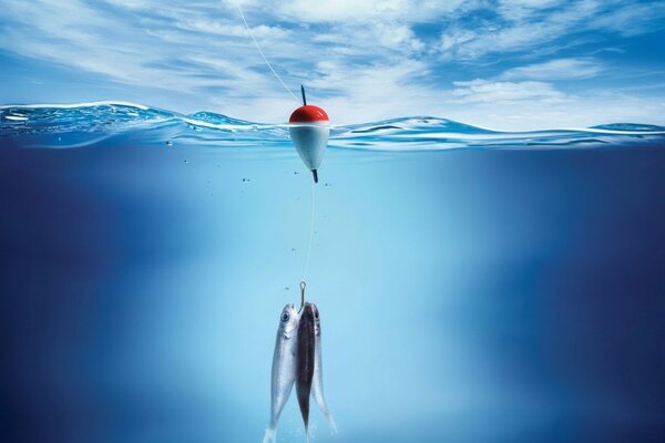 Image du processus de pêche en mer