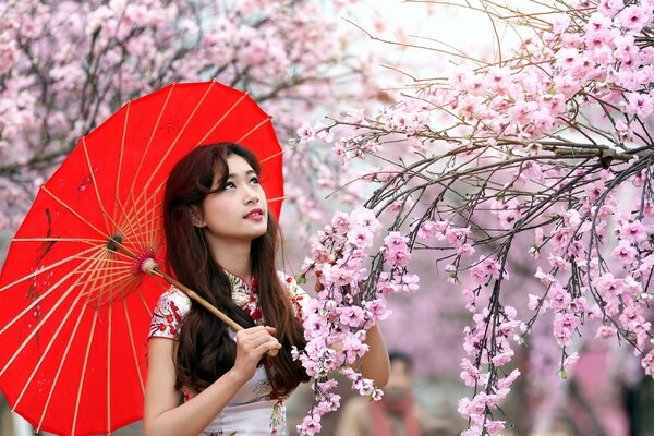 Girl with cherry blossoms