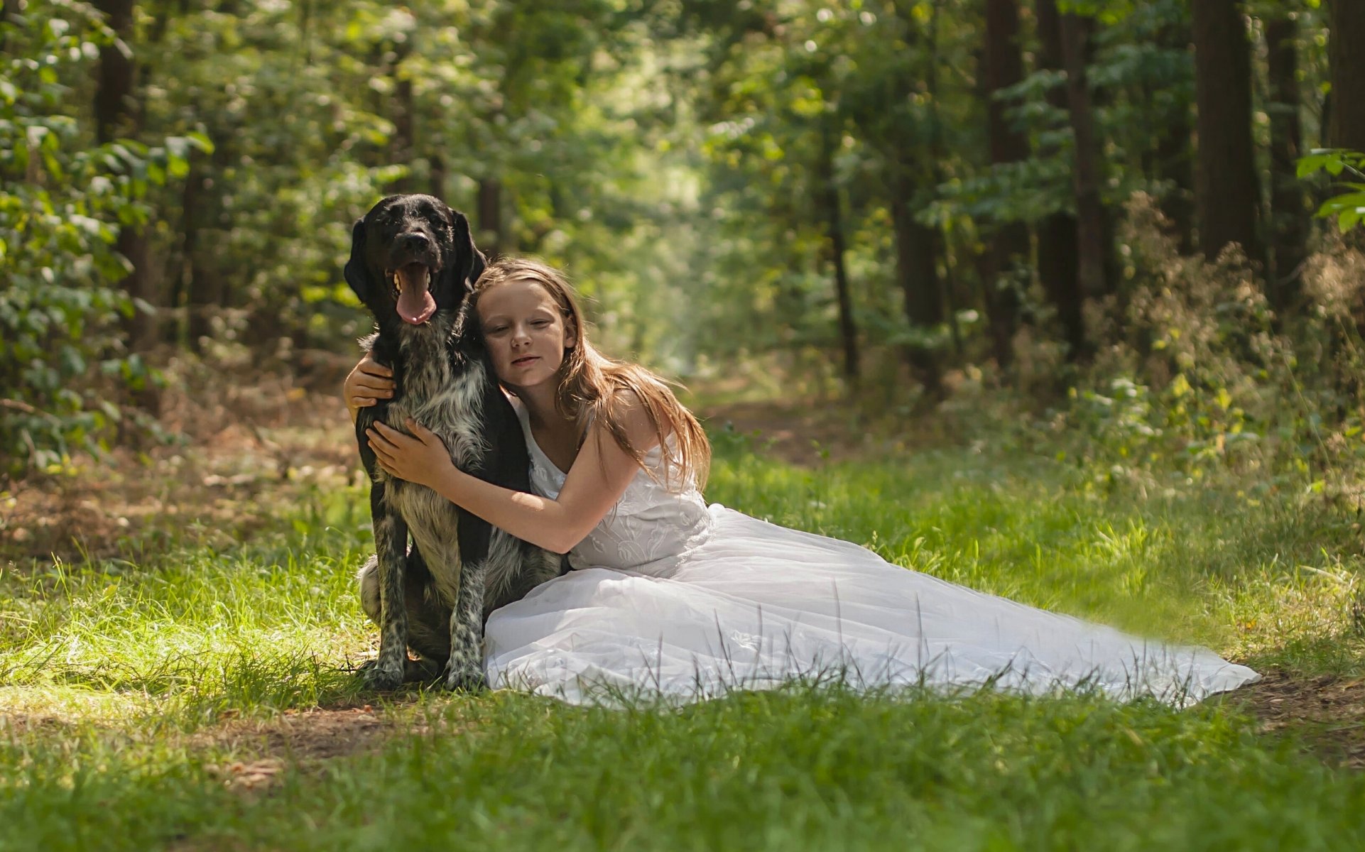 petite fille le chien les amis l amitié la robe la forêt