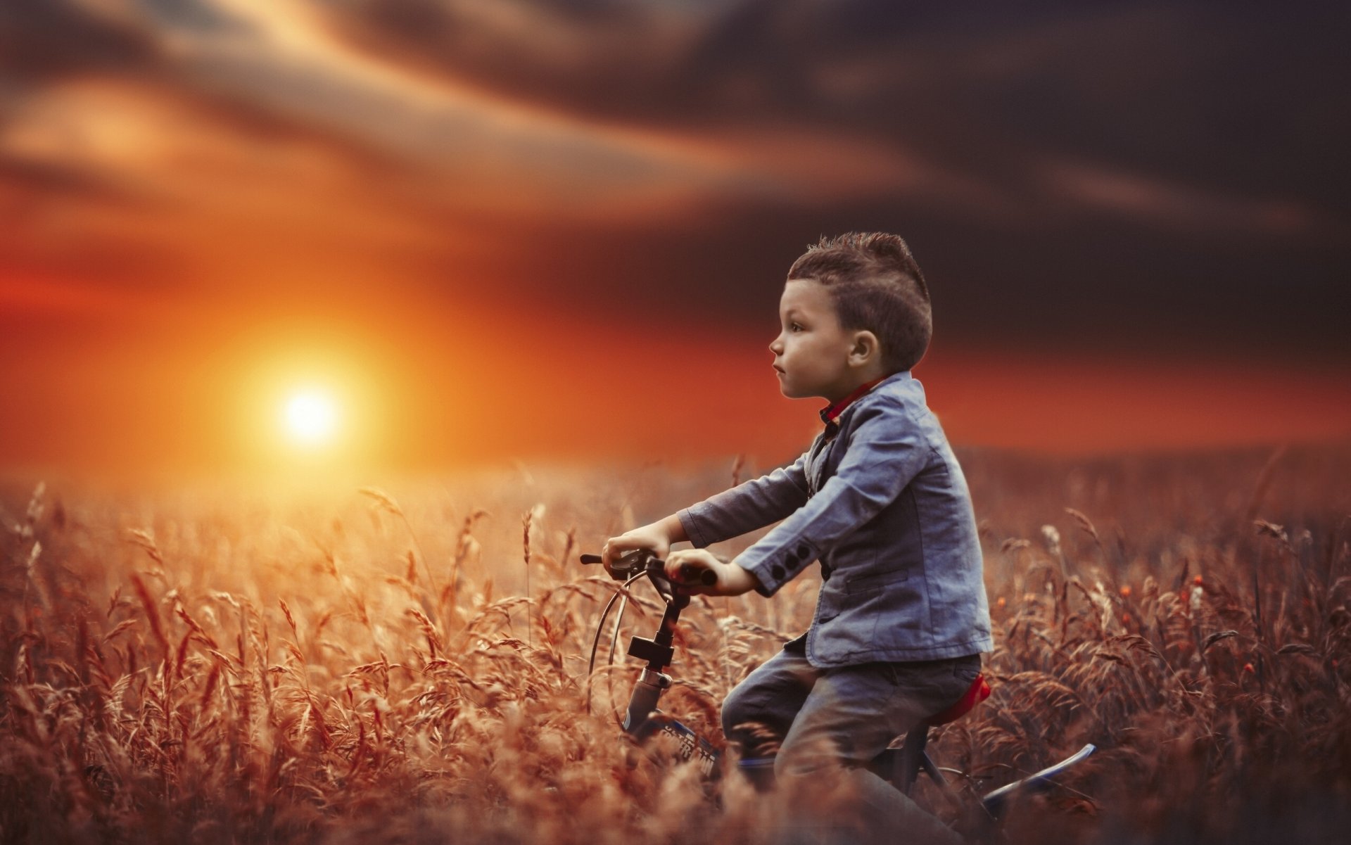 niño bicicleta campo puesta de sol estado de ánimo