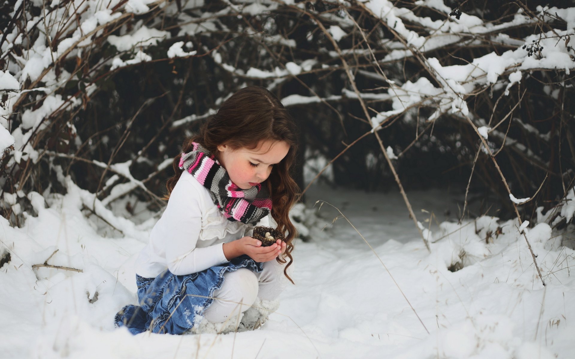 niña nieve nido