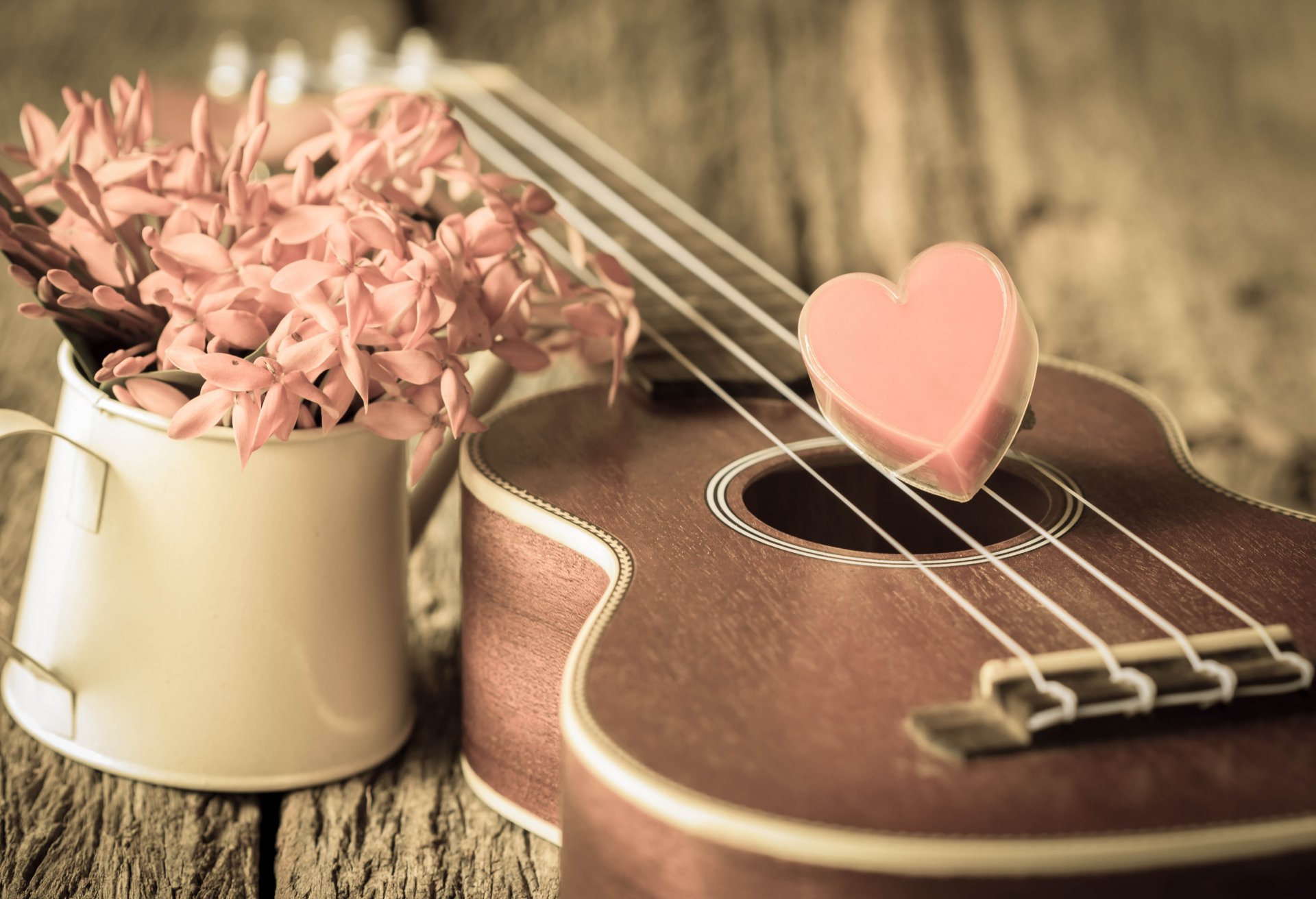 vintage amour romantique coeur ukulélé fleurs