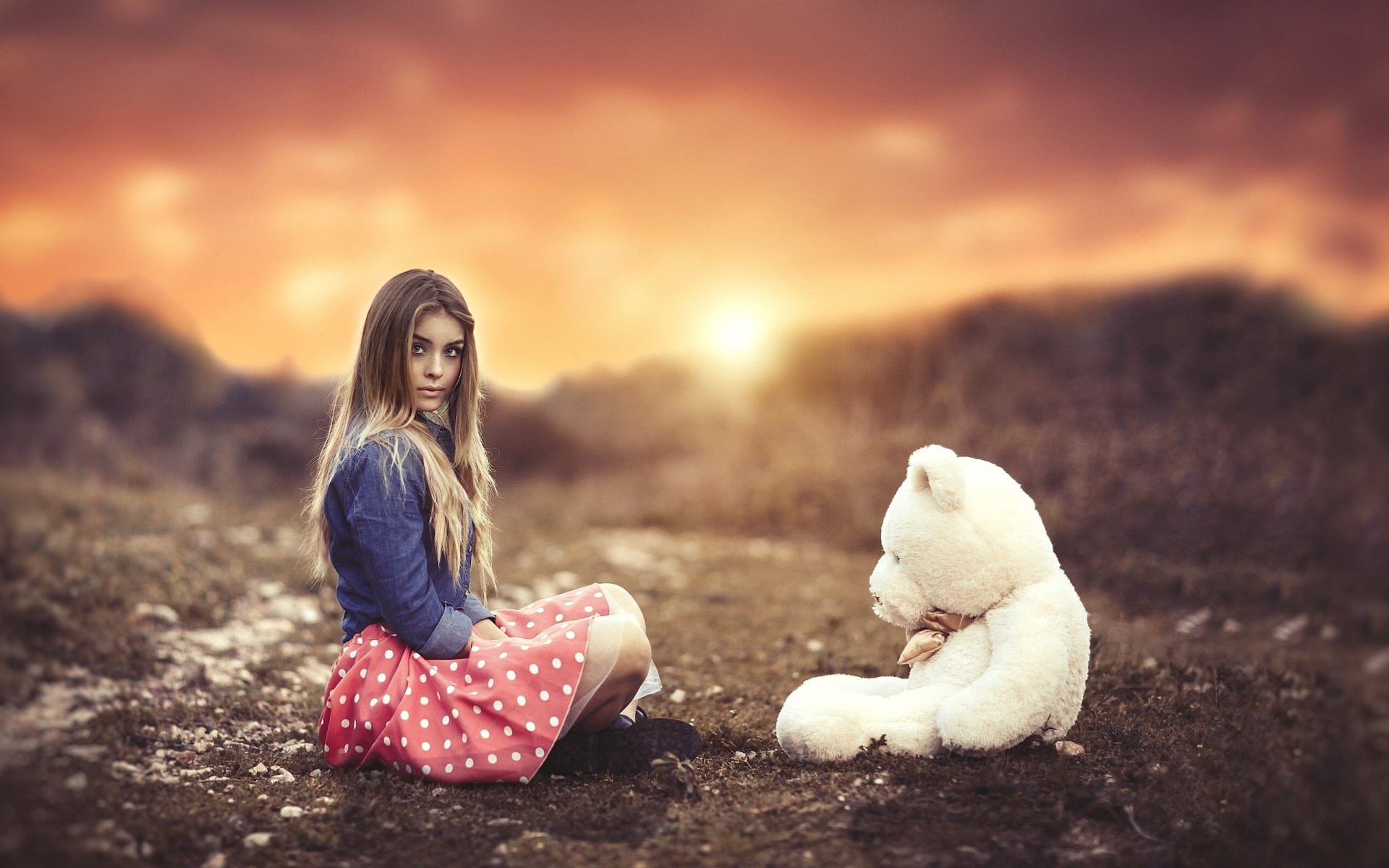 girl teddy bear bear toys sunset mood bokeh