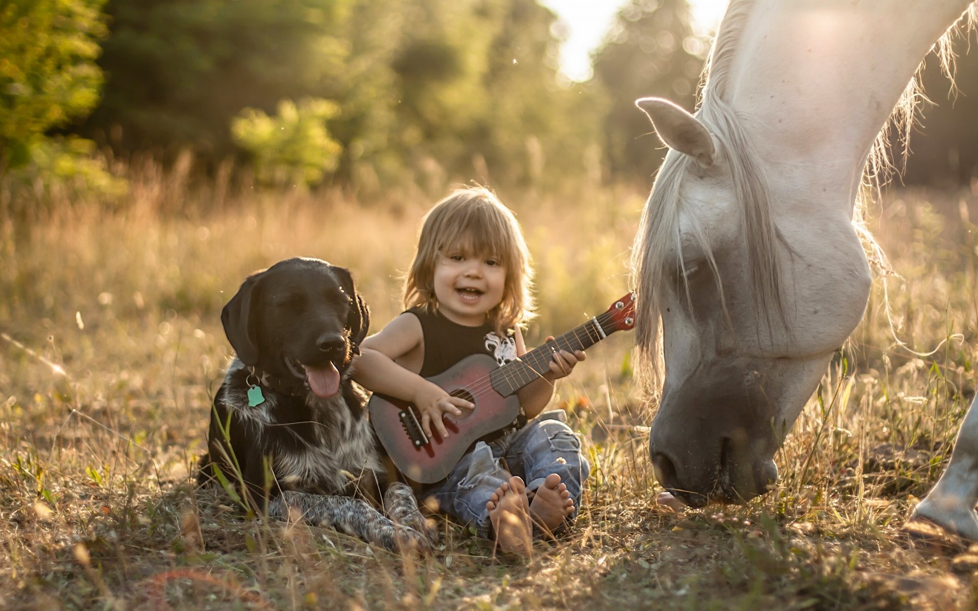 niño perro caballo caballo amigos amistad guitarra