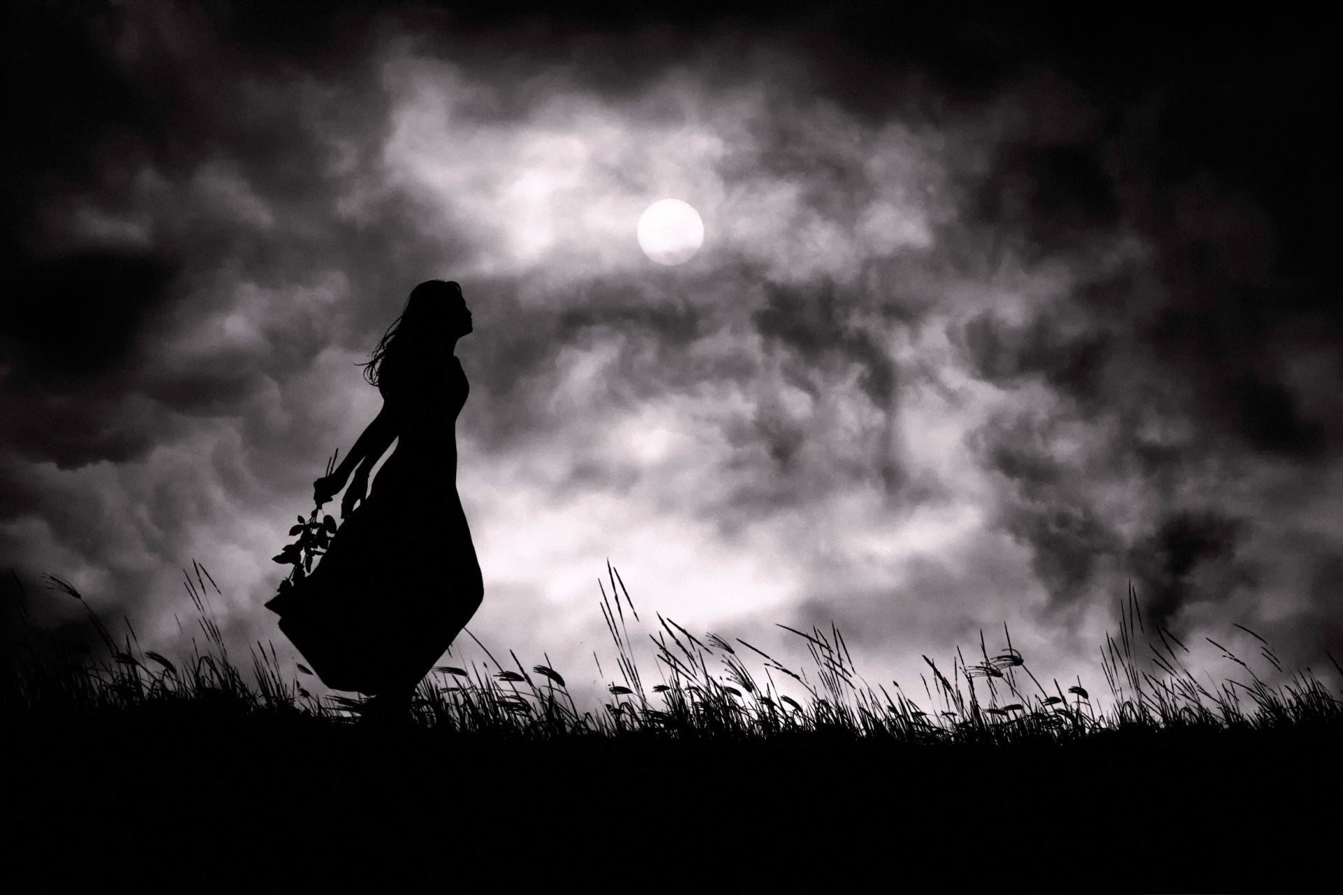 ma solitude la jeune fille la silhouette la nuit la lune