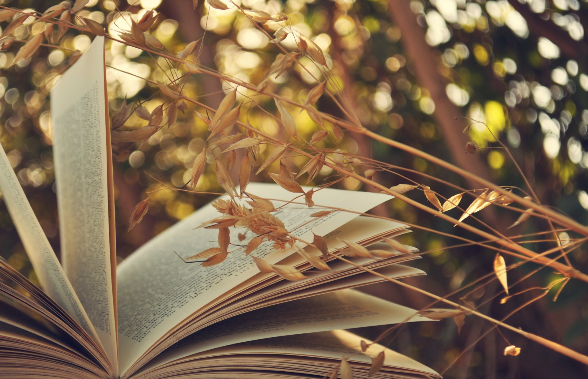 book pages gra