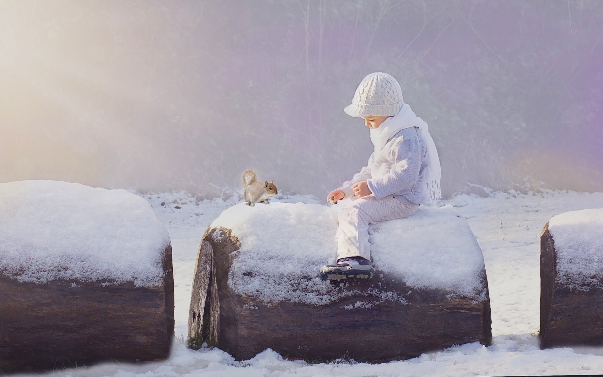 junge eichhörnchen winter schnee