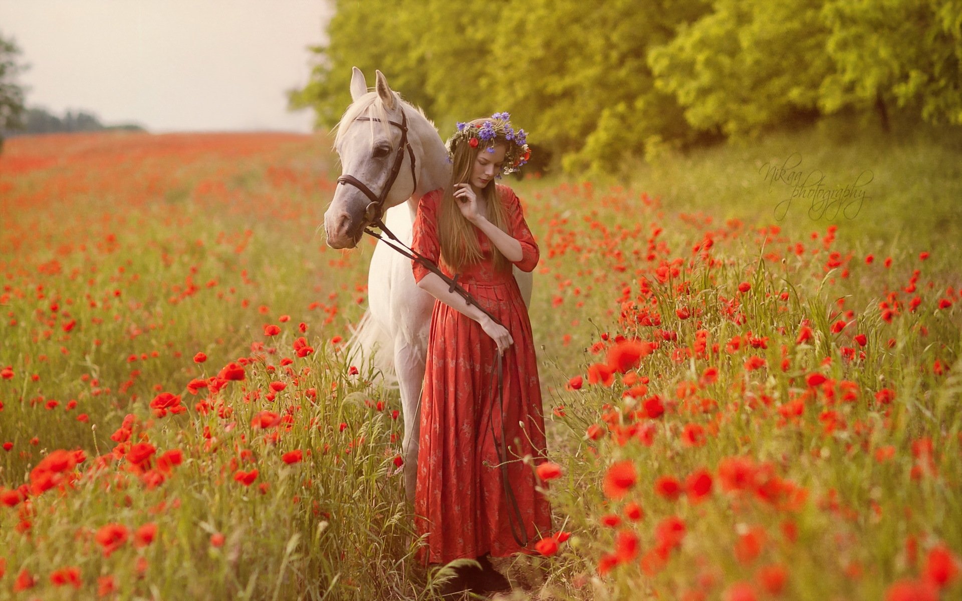 ragazza cavallo campo papaveri natura umore