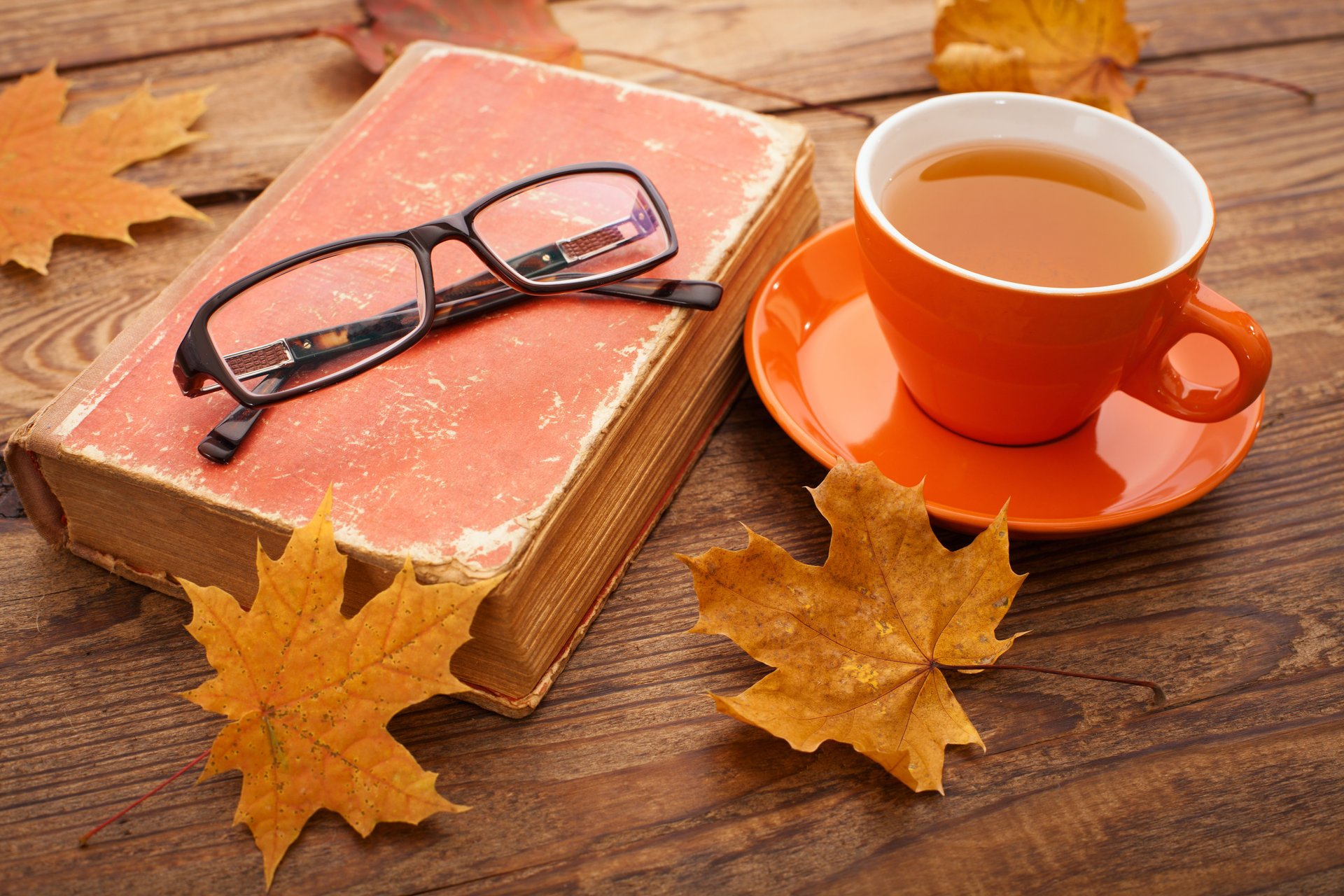 automne automne feuilles érable tasse thé feuilles d automne