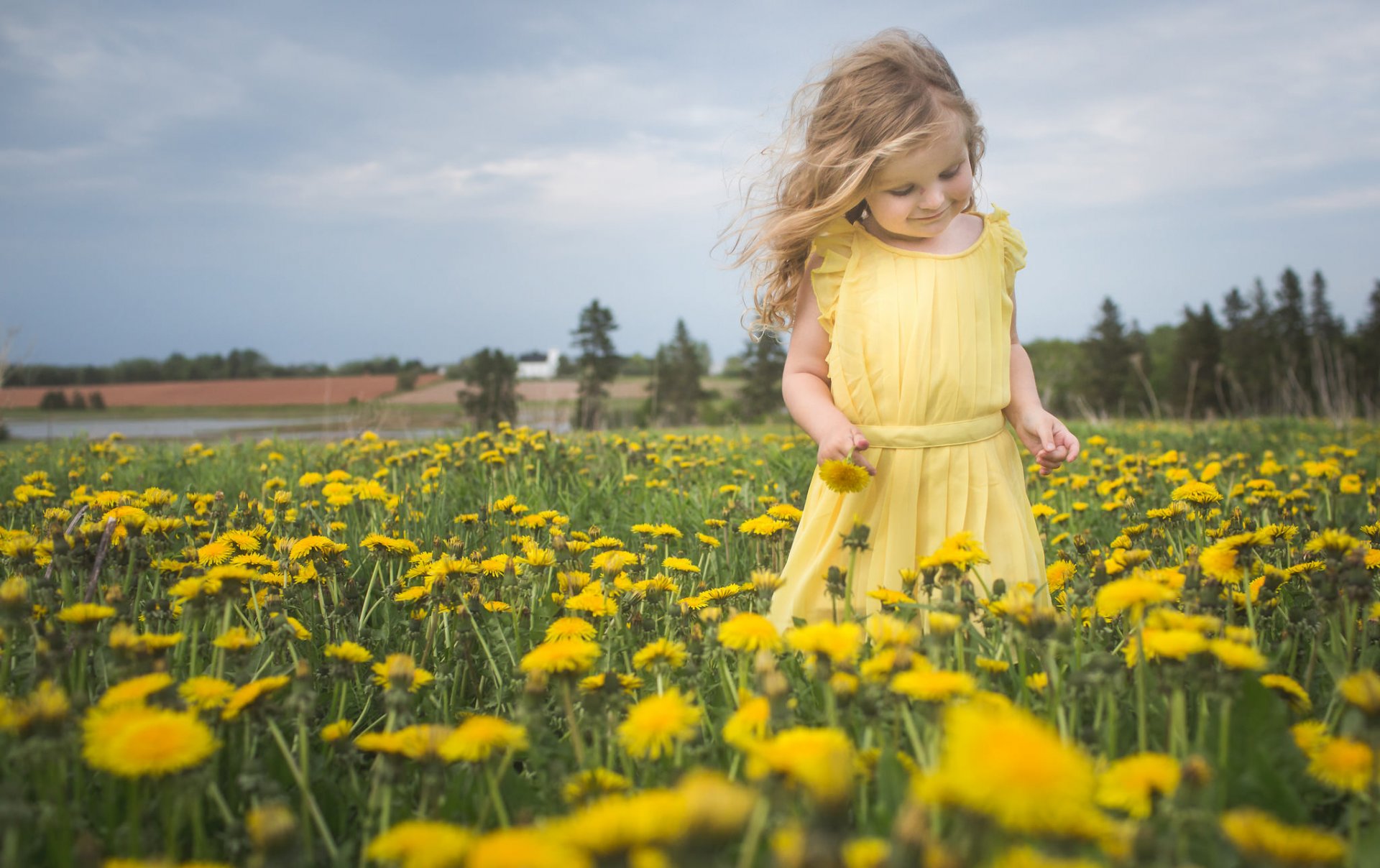 ragazza prato denti di leone fiori natura umore