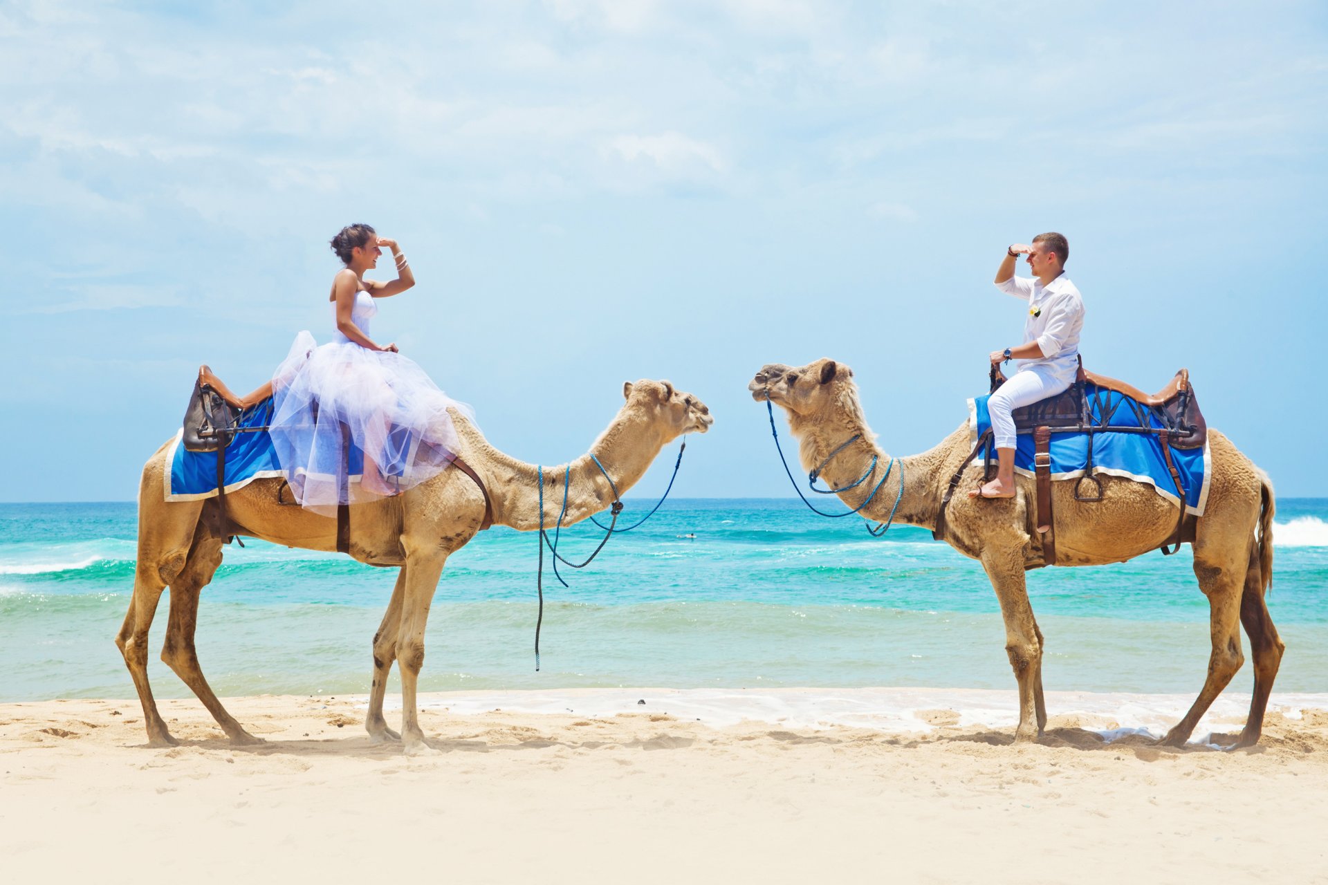 mar playa camellos pareja enamorada