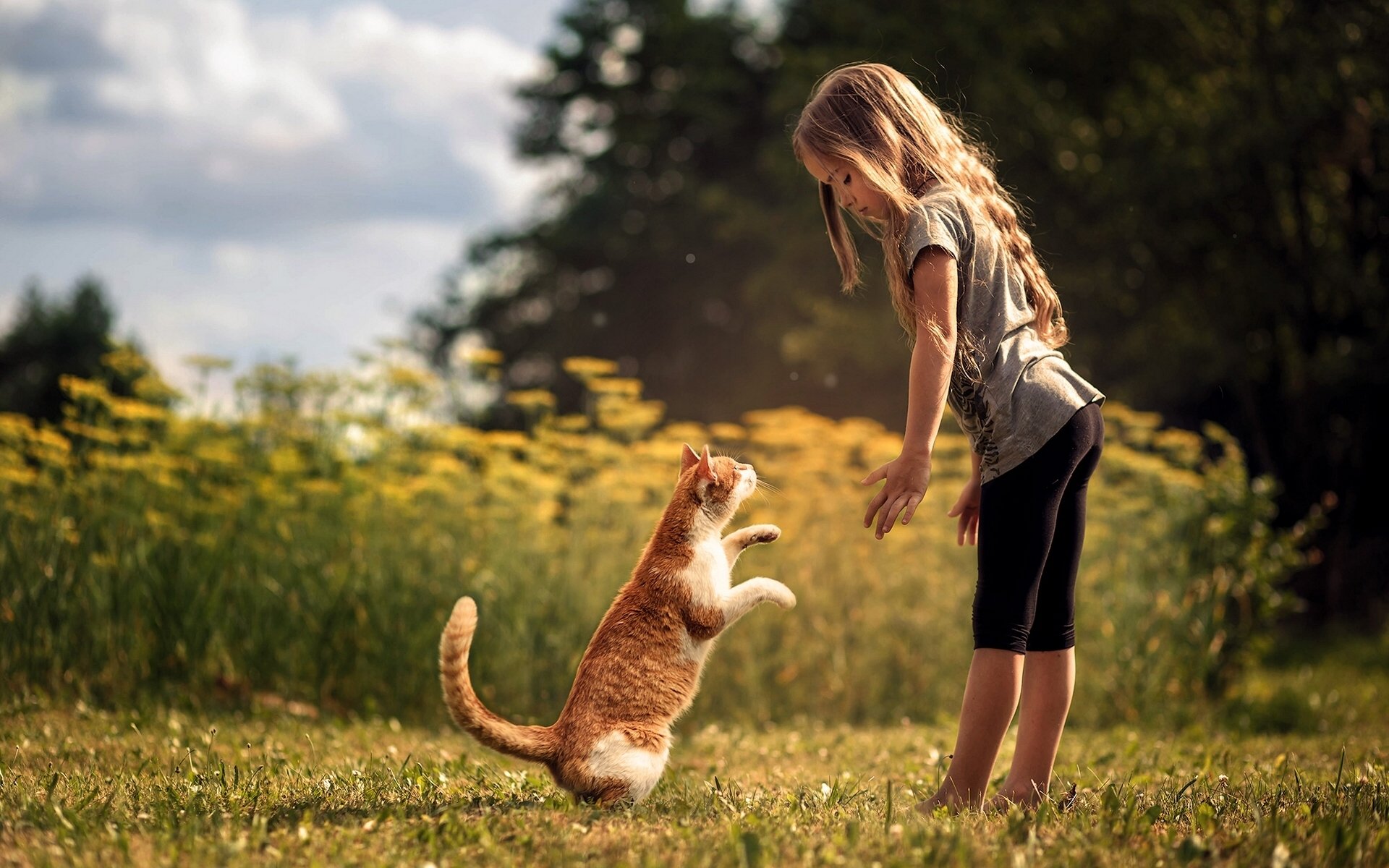 la fille le chat le chat les amis l amitié