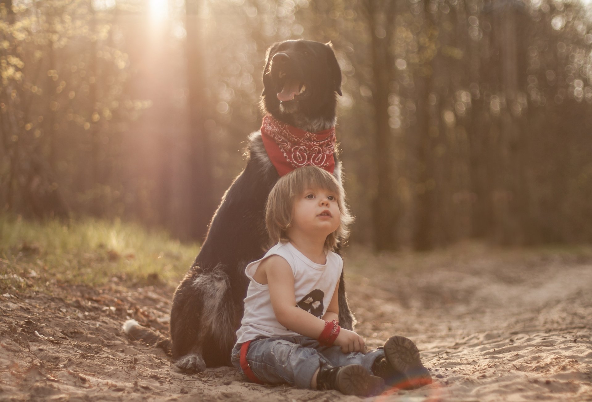 le garçon le chien les amis
