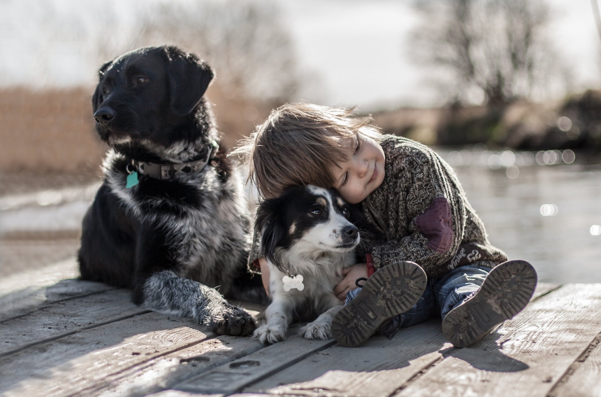 boys dogs friends mood