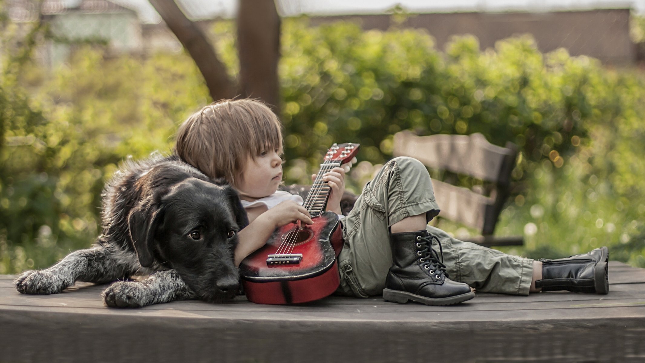 le chien le garçon les amis la guitare les chaussures