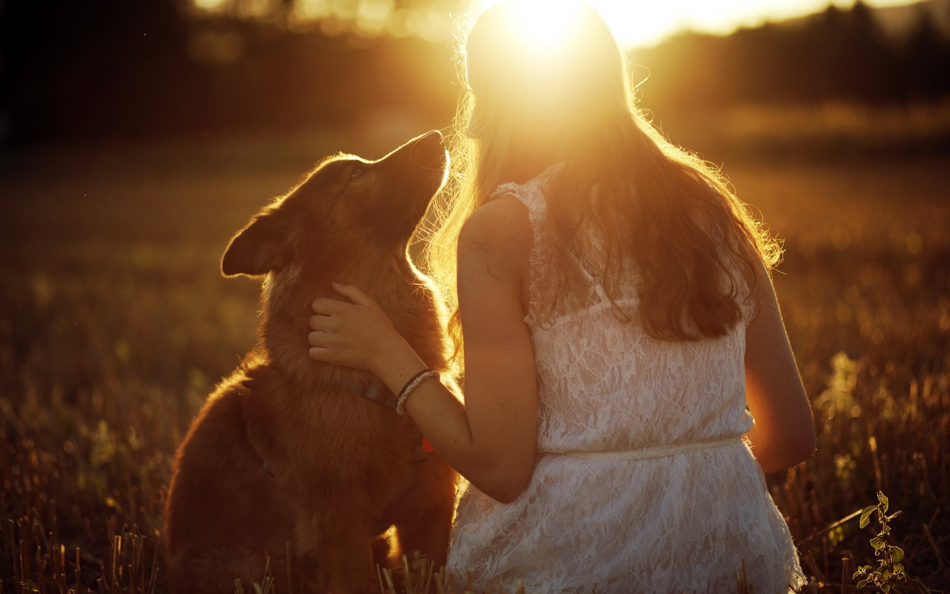 mädchen hund licht stimmung