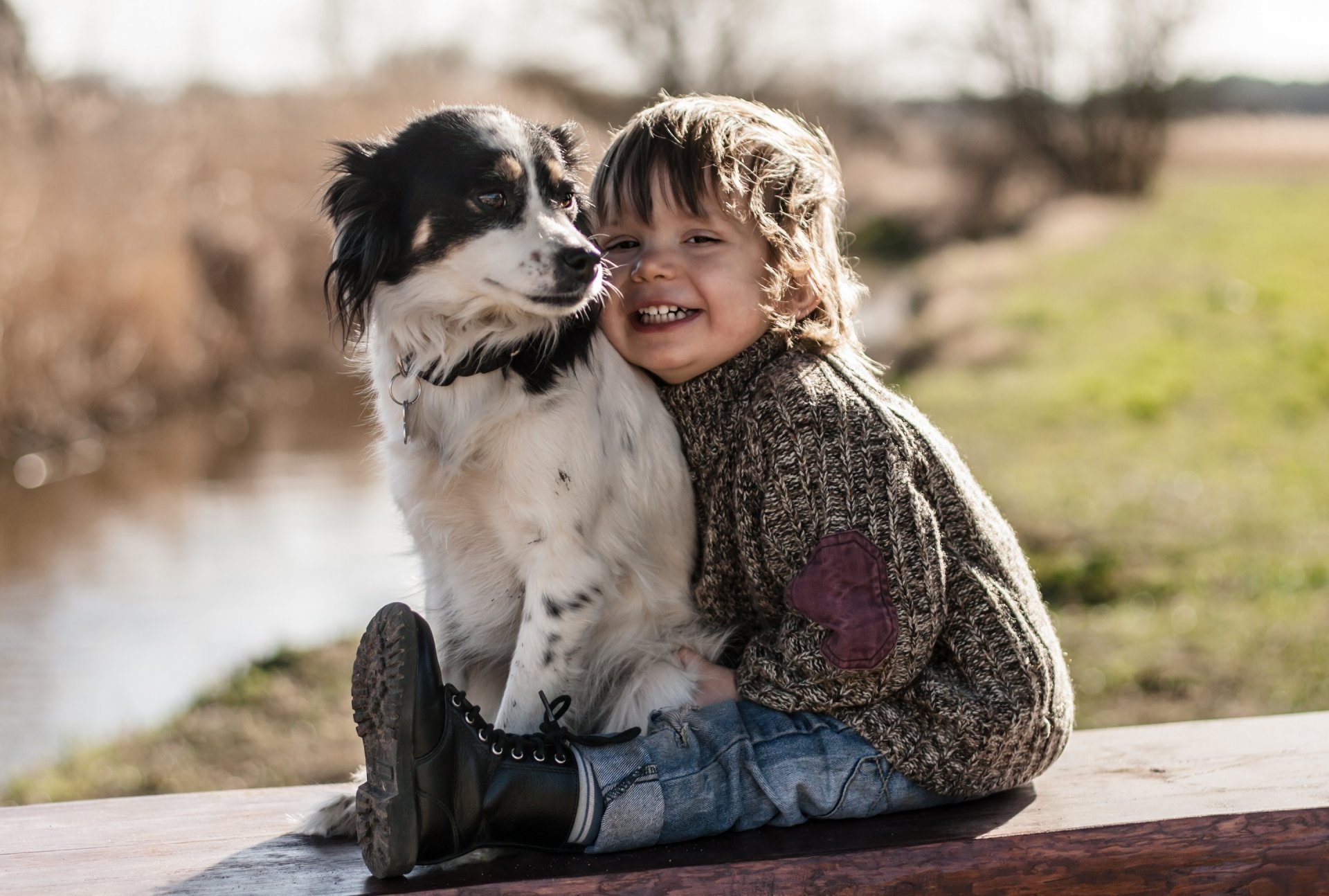garçon chien amis joie humeur
