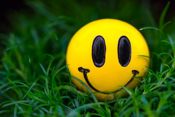 Smiley smile in the green grass