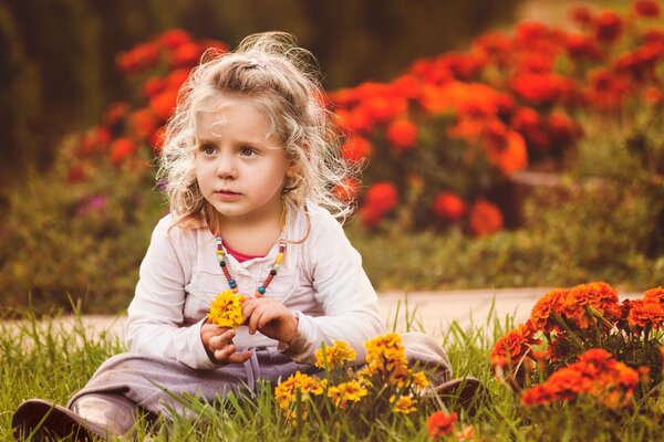 A girl is sitting in the grass among red flowers