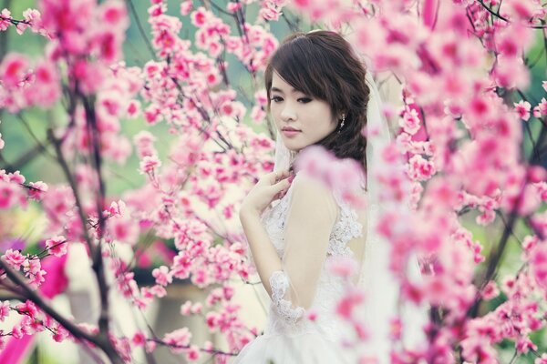 La novia en Sakura. La chica de las flores
