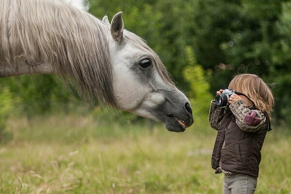 Mały chłopiec fotografuje konia