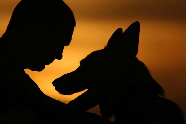 Le chien est le meilleur ami de l homme