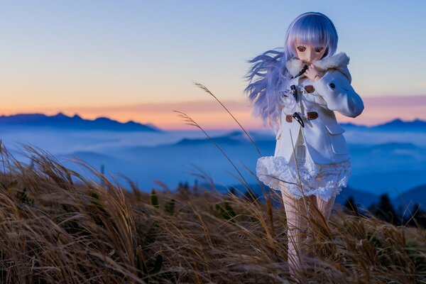 A doll with blonde hair in a field
