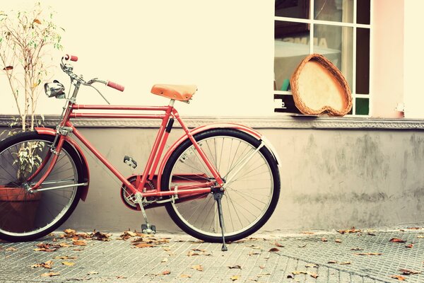 Bicicleta cerca de la casa en un día de otoño