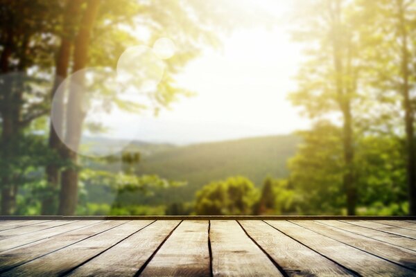 Pavimenti in assi di Legno contro la natura sfocata