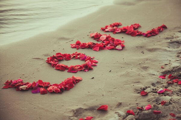 Любовь лепестками роз на песочном пляже