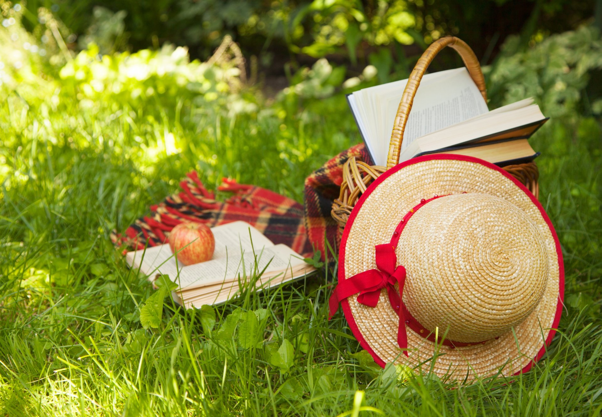 panier de livres de pomme chapeau chapeau de paille plaid herbe nature été