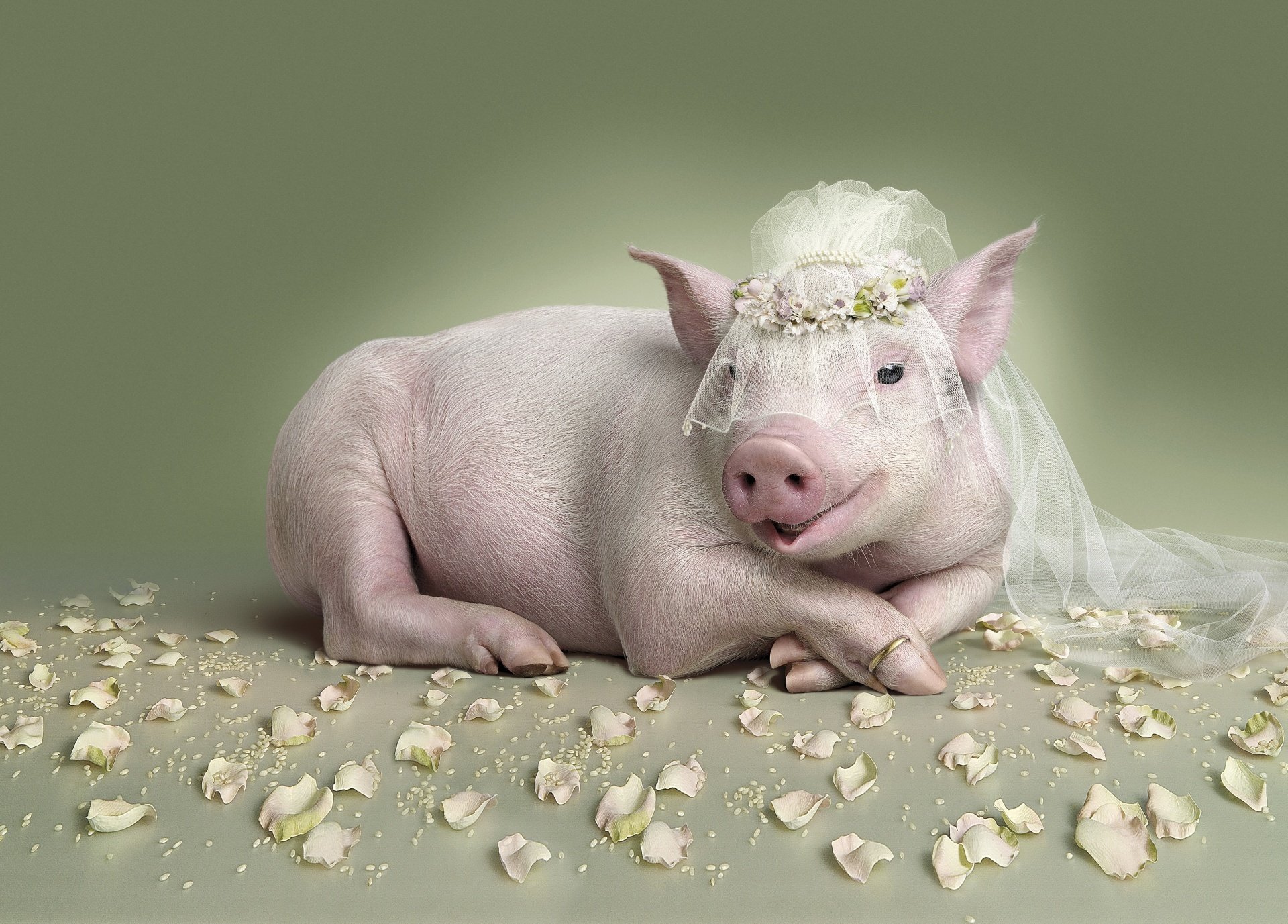 piggy bride wedding ring petal