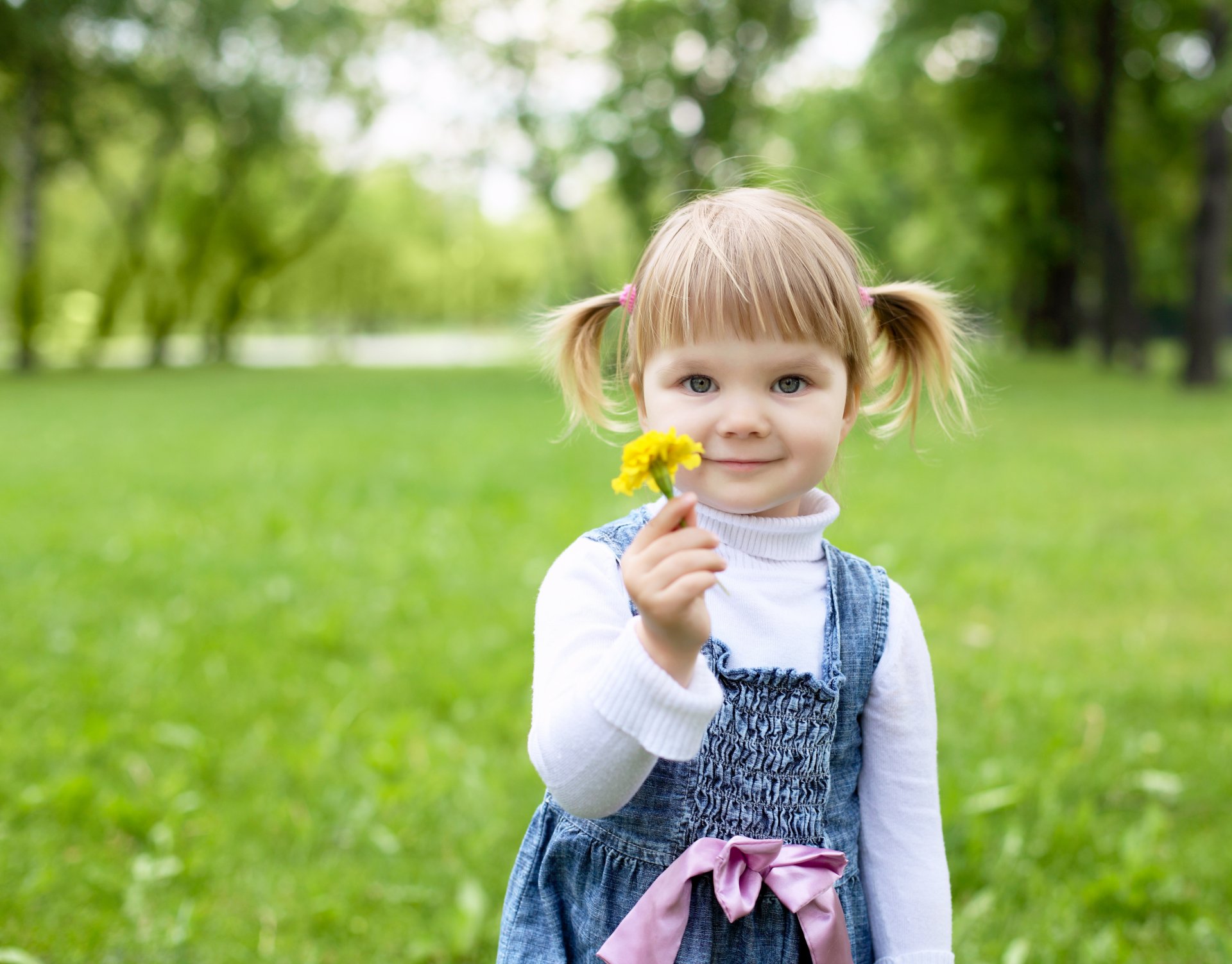 ragazza bambino infanzia felicità fiore parco alberi bambina bambini fiori