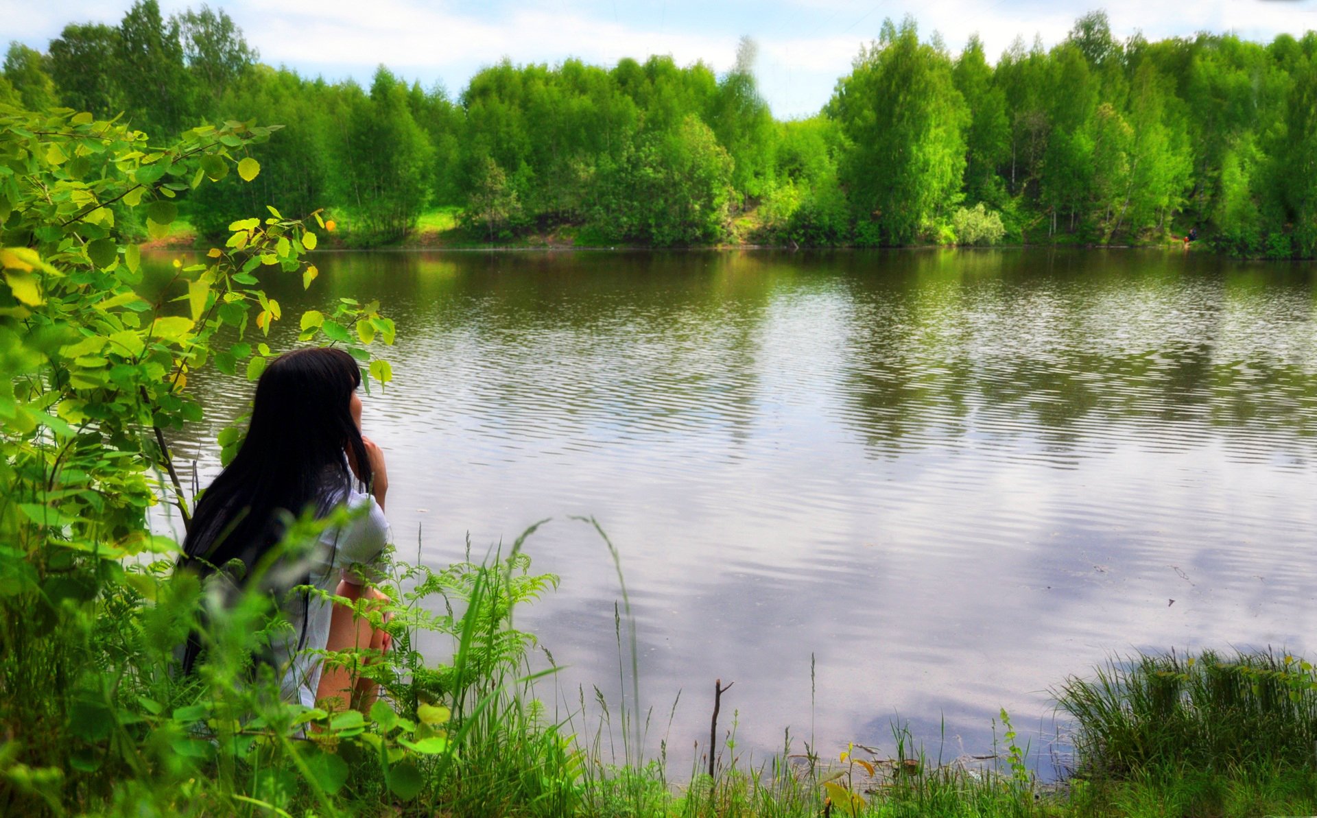 la brune le lac la forêt la verdure la nature l intimité