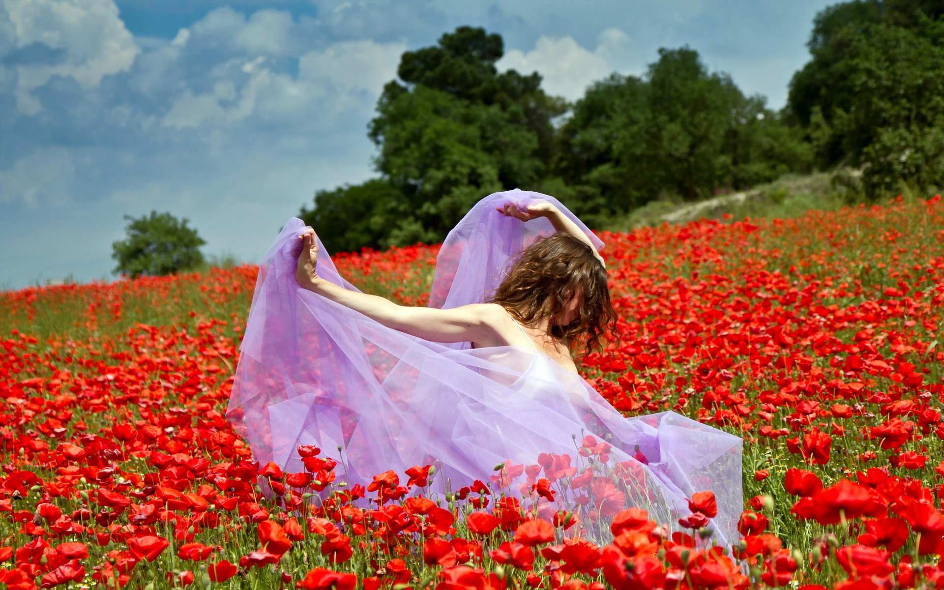 fille coquelicots été