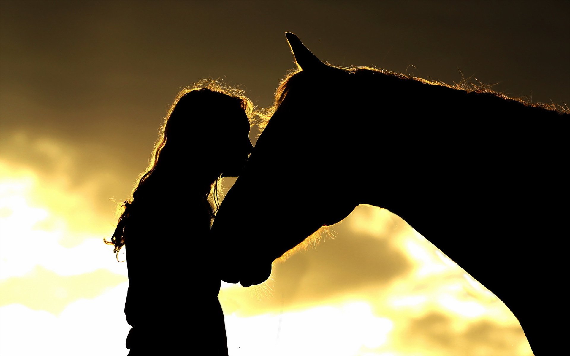 chica caballo siluetas