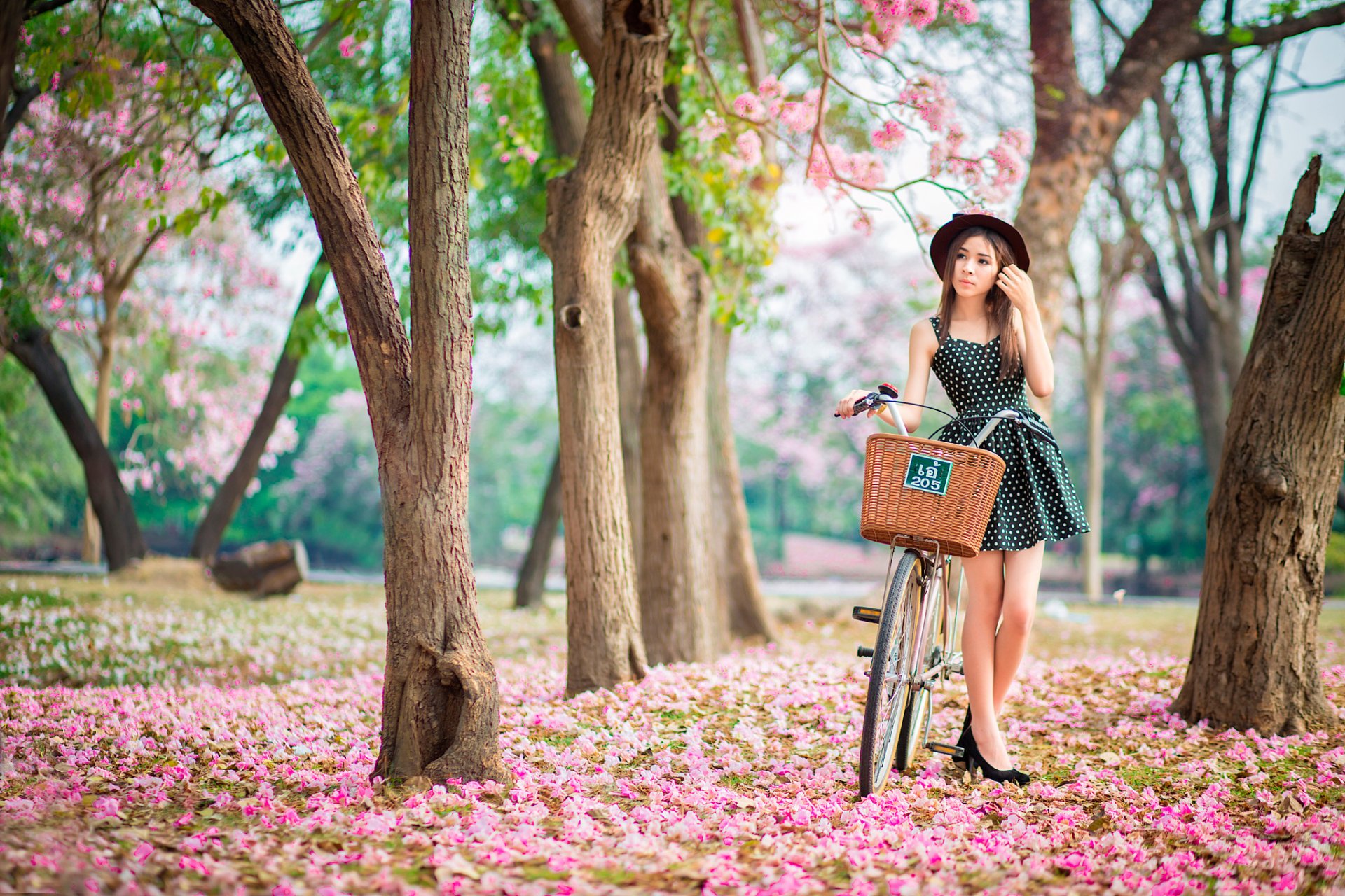 rose garden ragazza bicicletta primavera fioritura