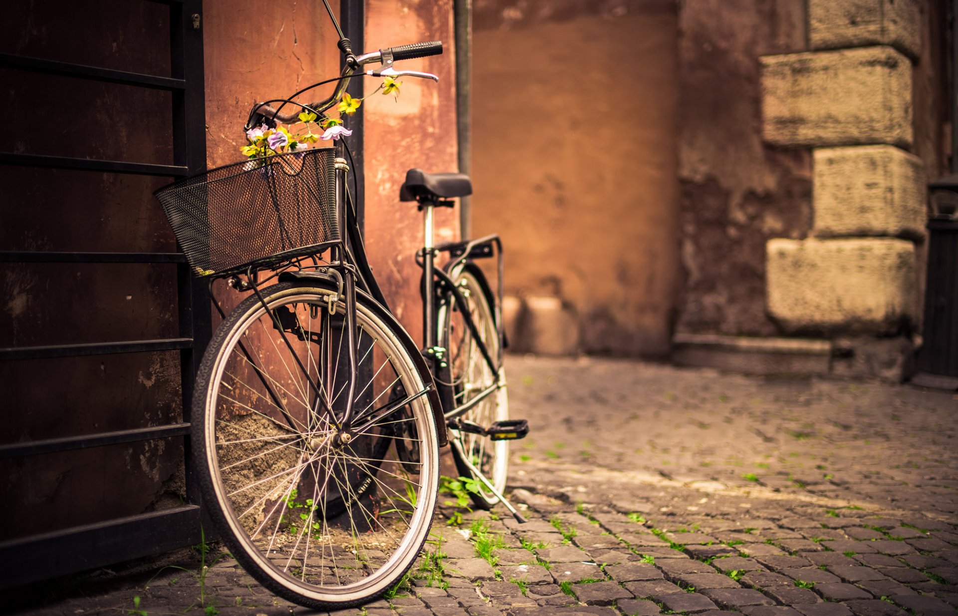 bicicletta canestro fiori parete pavimentazione strada